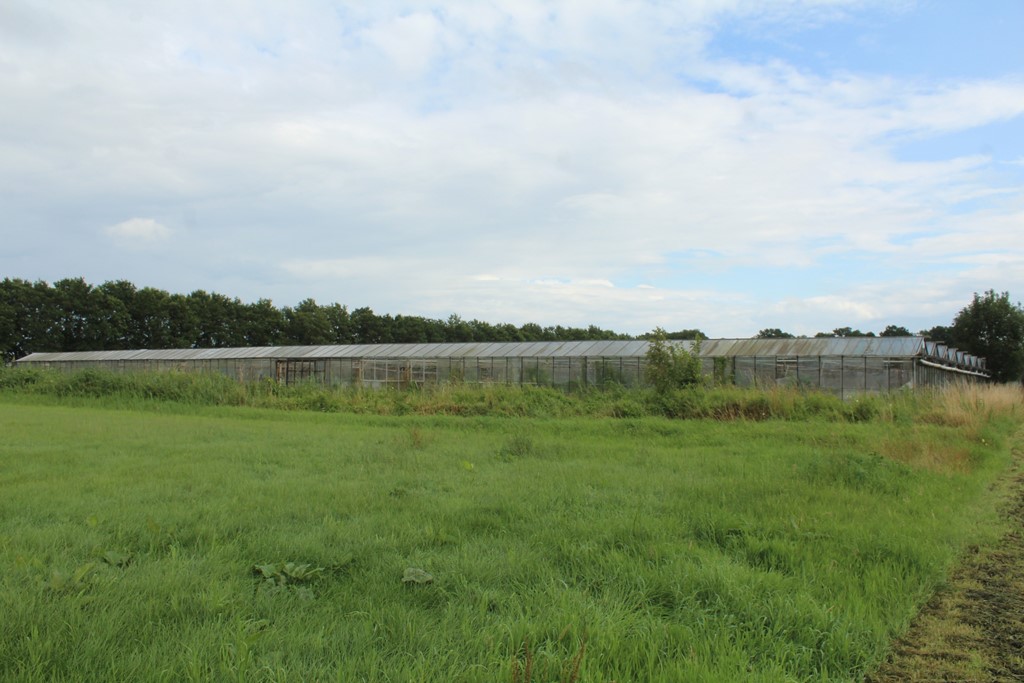 Kas Sappemeer foto 1.JPG